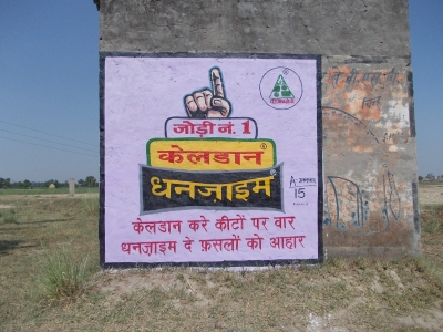 KGN Publicity - Wall Painting Rural - 1